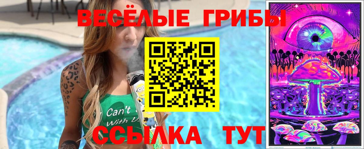 Галлюциногенные грибы мухоморы Лабинск